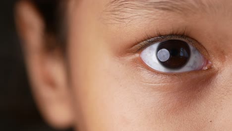 close-up of a human eye