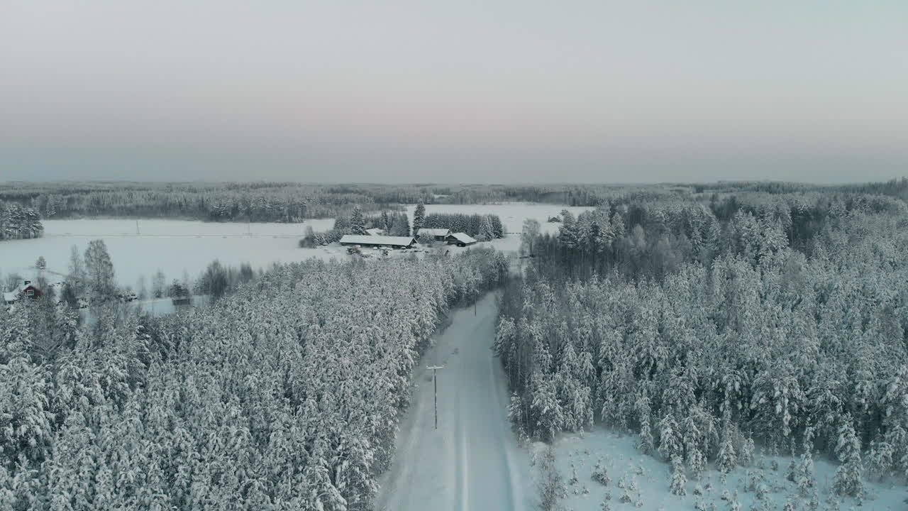 공중, 무인 항공기, 눈 덮인 도로 위, 겨울 나무 사이, 농장을 향해, 카렐 리안 시골, 화창한 겨울 저녁, 핀란드 북부 카렐 리야의 vuoniemi에서