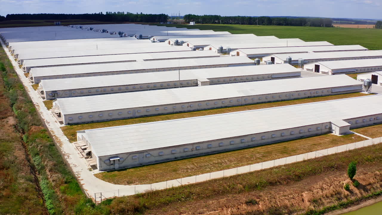 Aerial view of poultry farm. Modern farm poultry buildings. Agriculture