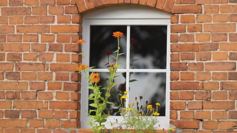 a single white-framed window on the red brick wall