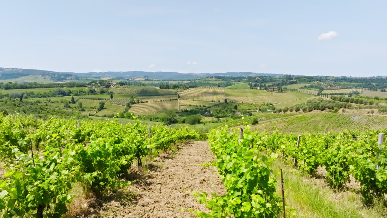 Vista aerea laterale di fronte a una lussureggiante e verde piantagione di viti, giornata di sole in Toscana