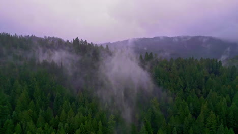 Aerial-drone-shot-over-treetops-with-mountain-fog-covering-in-Muir-Woods-National-Monument,-California,-USA-on-a-cloudy-day