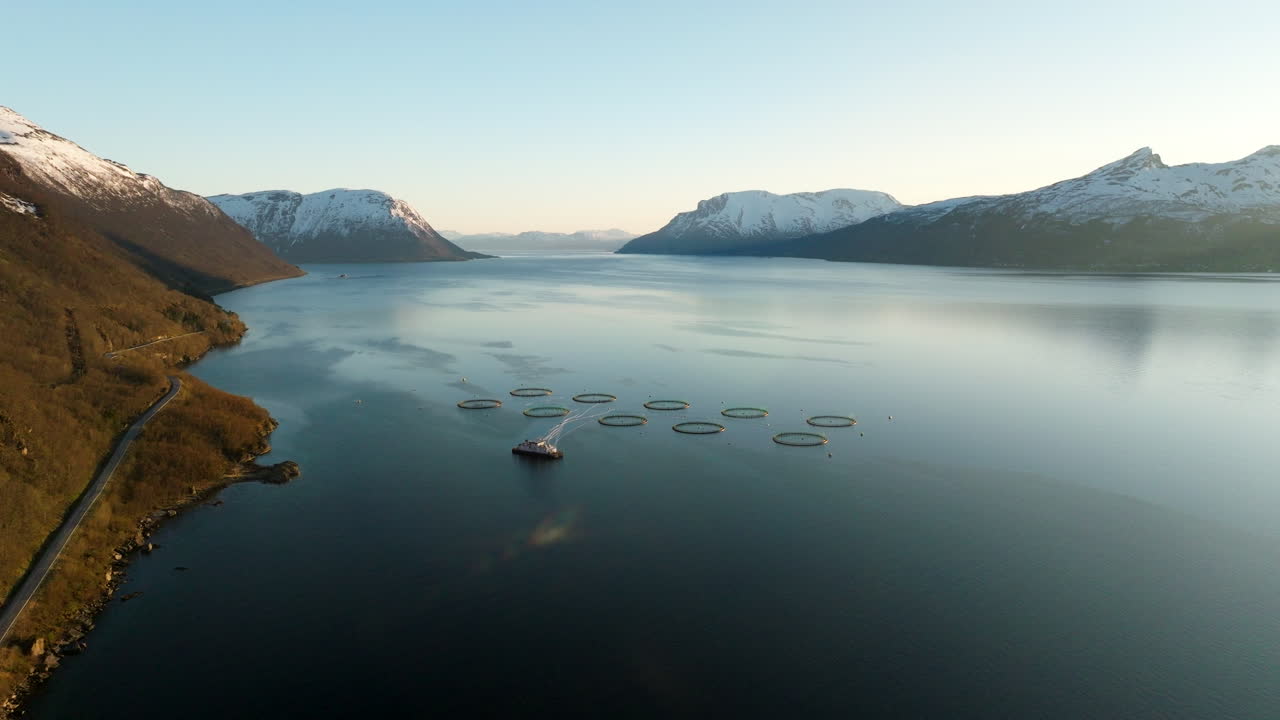 Salmon farm with circular cages in fjord, snow-capped mountains in background, aquaculture industry or documentary use, Gratangen, Norway. Aerial backward, copy space
