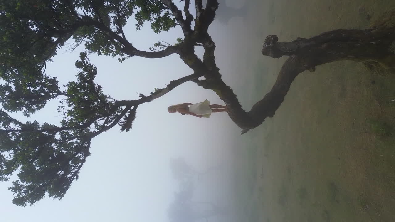 Woman Standing on a Tree in a Foggy Field