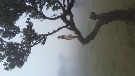 woman standing on a tree in a foggy field