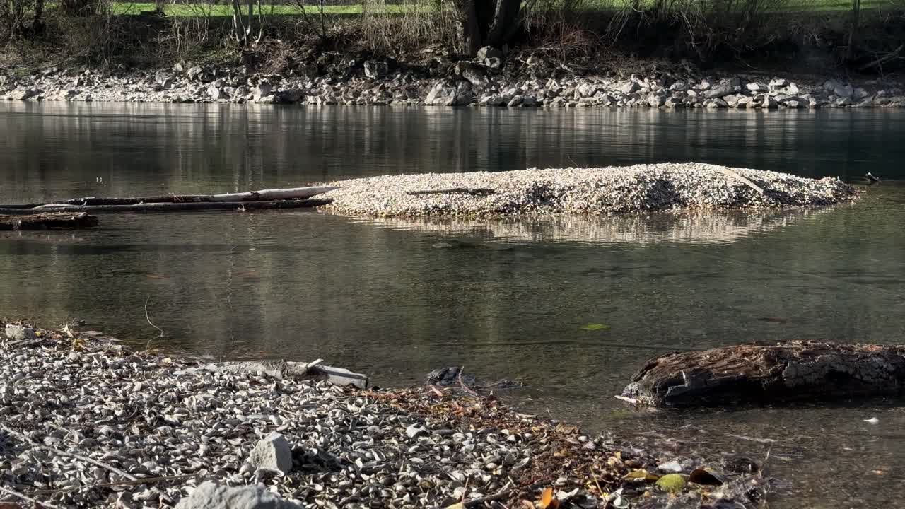 Nature Switzerland pond lake river water landscape flow creek Europe spring