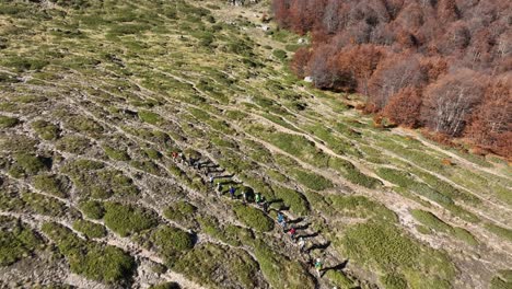 Aerial view of hikers on Mount Vermio, Greece landmark in sunny autumn - dolly forward