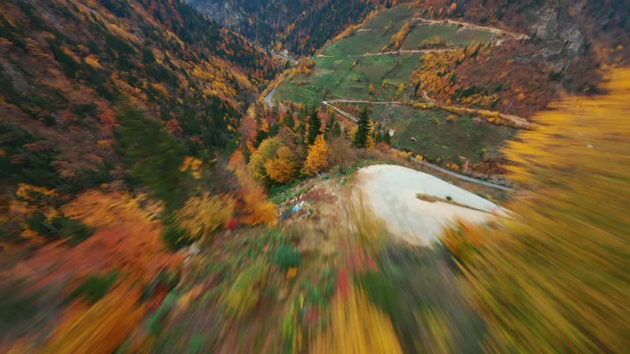 vuelo de movimiento fpv en un maravilloso entorno cinematográfico de árboles de bosque salvaje en la temporada de otoño