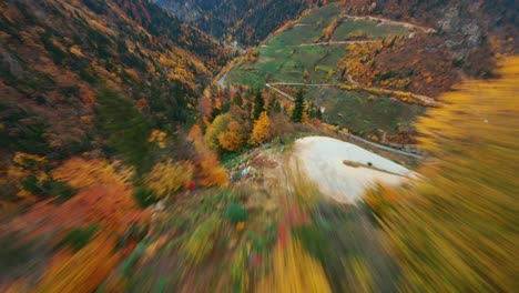 fpv motion flight in cinematic wonderful wild forest trees environment on autumn season