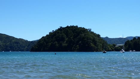 Los-Kayakistas-Reman-Hacia-La-Orilla-Frente-A-Una-Pequeña-Colina-Cubierta-De-Densa-Vegetación-En-Un-Hermoso-Día-De-Verano---Bahía-De-Ngakuta,-Sonidos-De-Marlborough