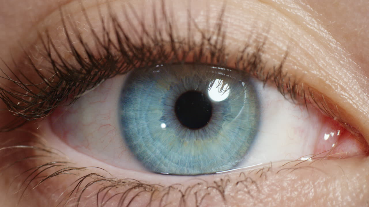 마크로 블루 아이 오프닝 자연 인간 아름다움 건강한 시력