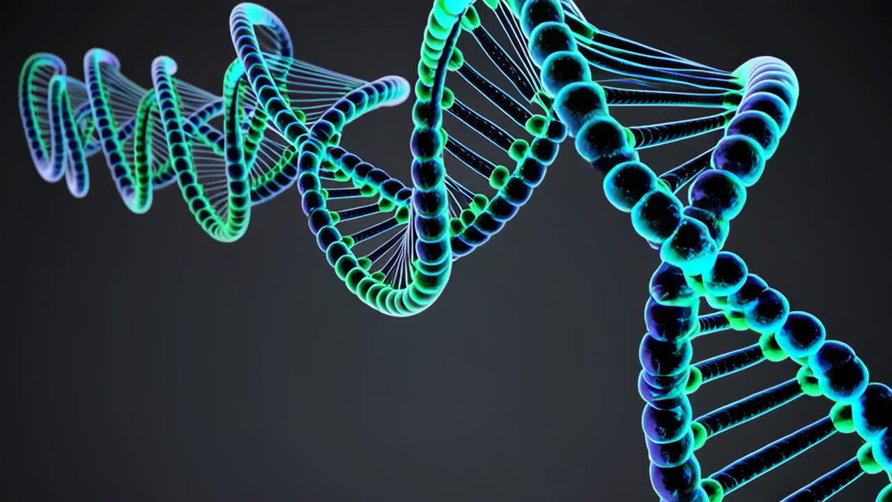 ADN en doble hélice