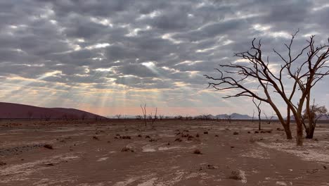 stunning scenery over dead vlei in namibia with spectacular cloud formations and light rays shining through and petrified trees on the pan