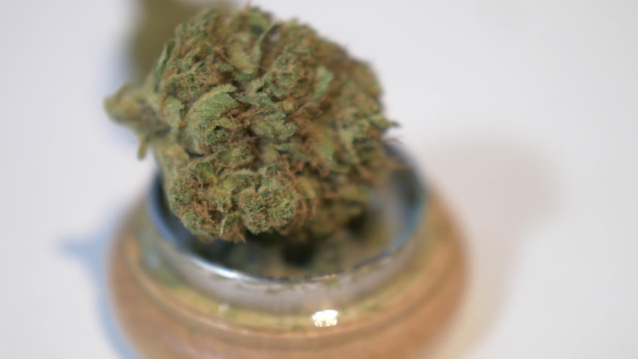 나무 그라인더에 있는 크고 털이 많은 마리화나 싹