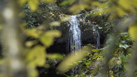 Rack-focus-from-autumn-leaves-to-waterfall