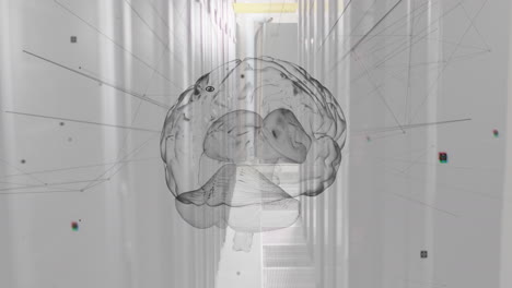 animación de la red de conexiones y cerebro sobre la sala de servidores