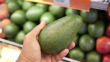 hand holding an avocado in a grocery store