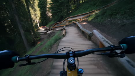 pov mountain biking on a wooden downhill trail in a forest