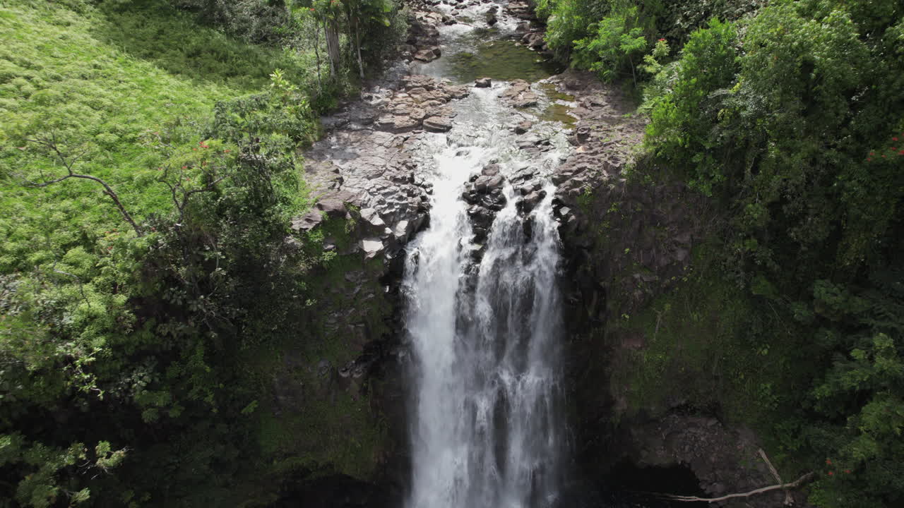 toma aérea del carro hacia atrás que muestra una cascada idílica en una jungla colorida durante el día soleado