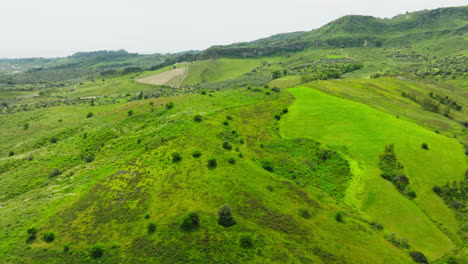 green valley in calabria pastoral aerial view in spring relaxing season