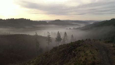 misty foggy mountain landscape with fir forest in southern oregon, drone forward