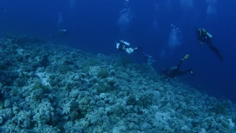 underwater scuba divers scuba diving in clear blue ocean