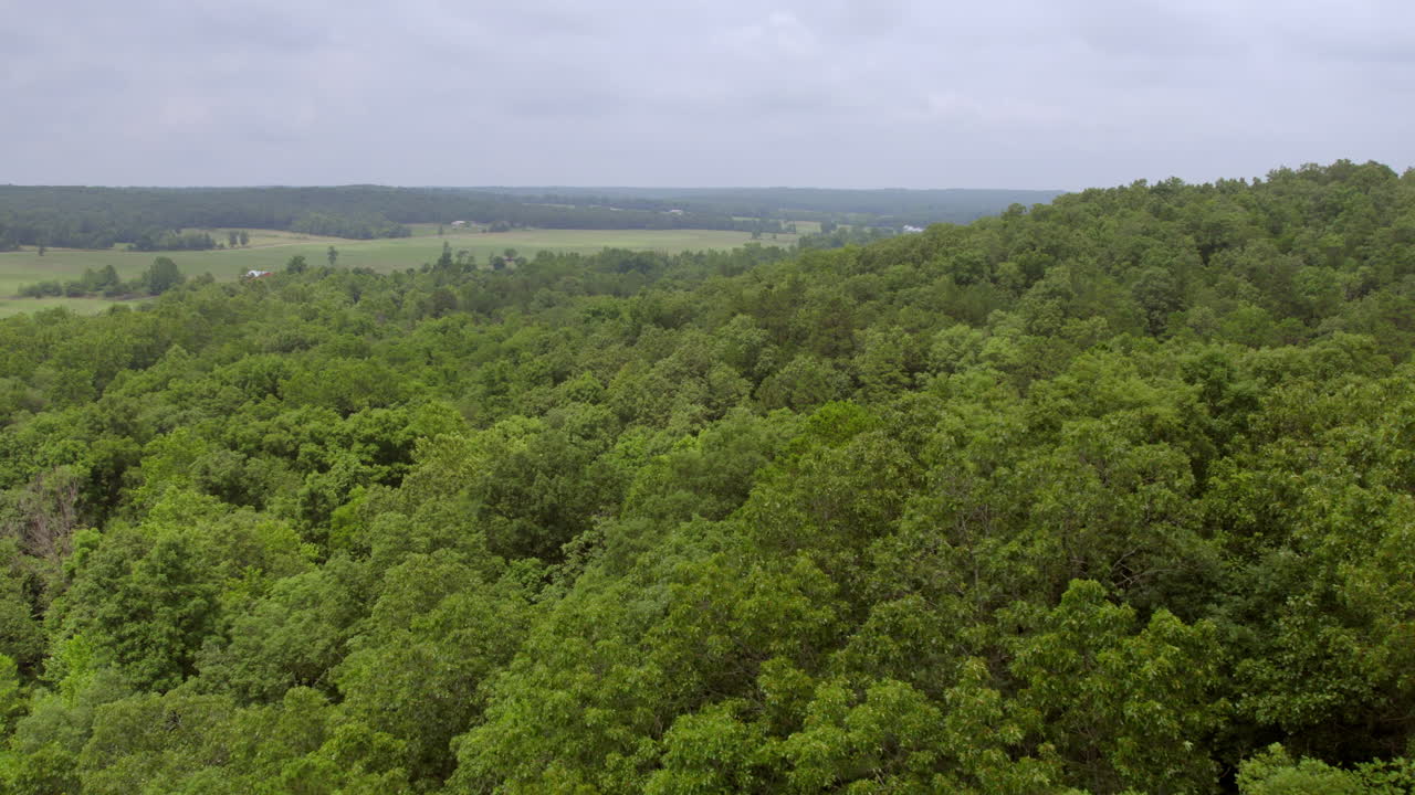 antena sobre el bosque en el campo con un tirón hacia atrás y lejos del campo