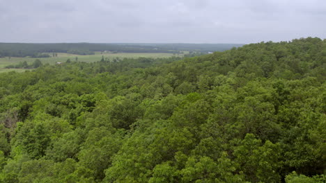 Aerial-over-forest-in-the-country-with-a-pull-back-and-away-from-countryside