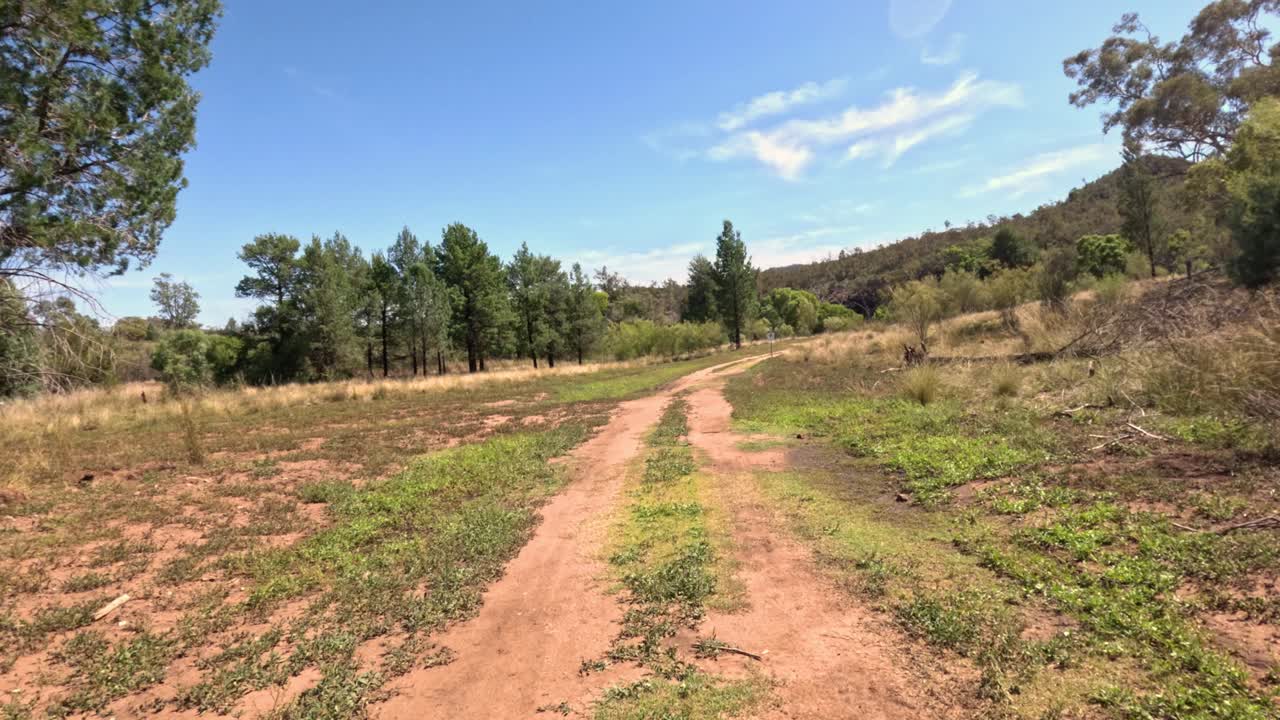 camino de tierra a través de la exuberante campiña australiana