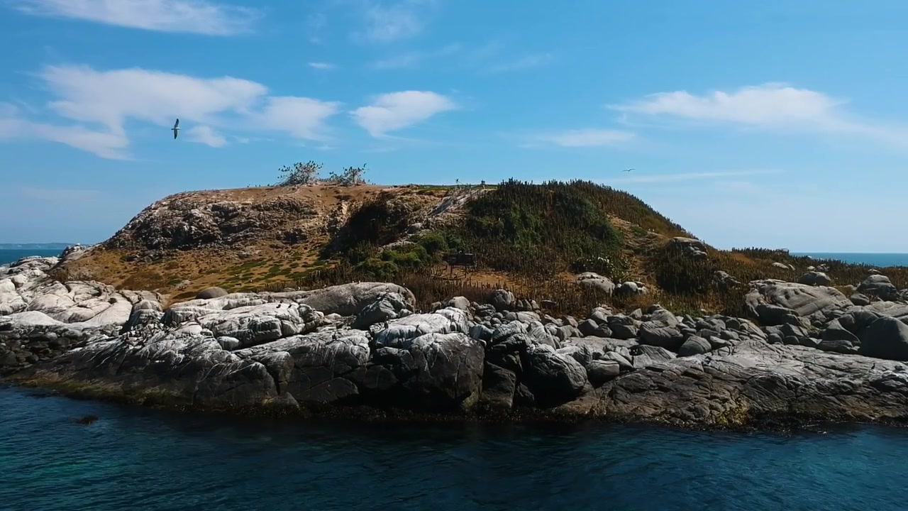 Riprese aeree che mostrano l'isola dei pinguini a Cachagua, Cile