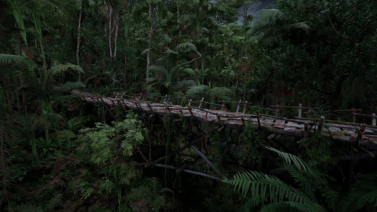 Exploring a wooden bridge through lush rainforest in peru