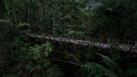 exploring a wooden bridge through lush rainforest in peru