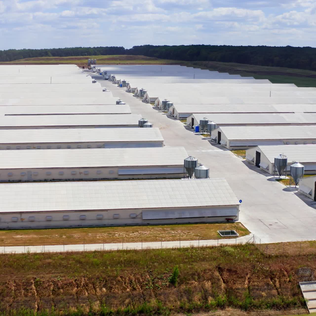Panoramic view of a modern farm on field. White buildings of a modern farm in bright summer day. View from the air on agricultural complex in nature