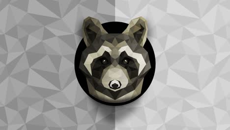 polygonal raccoon background. animal head. low polygon loop animation. geometric wildlife. polygonal animal portrait.