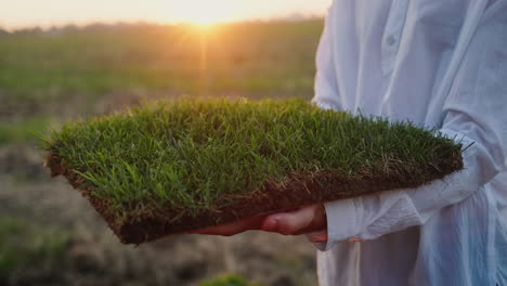 male hands hold a piece of land with green grass. ecology and cleanliness concept