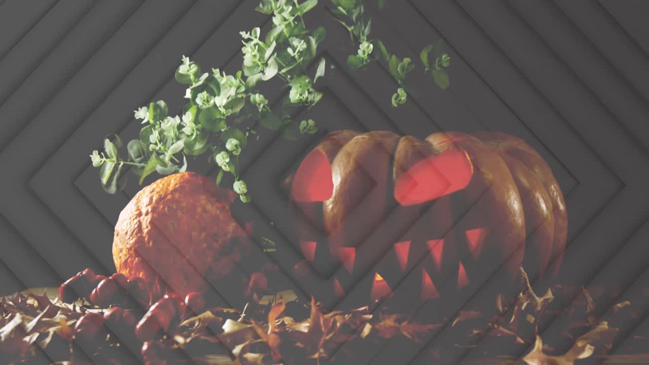 Animazione di linee a diamante sopra una zucca di Halloween luminosa, con una pianta e foglie autunnali, su sfondo nero