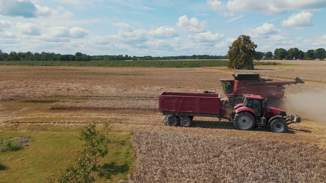 25 august 2024 Penkule, Latvia - Aerial View of Combine Harvester at Work. Summer Field Work on the Farm. Top View of Combine Gathering Corn or Wheat Crop.