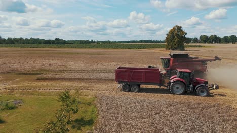 25 august 2024 penkule, latvia - aerial view of combine harvester at work. summer field work on the farm. top view of combine gathering corn or wheat crop.