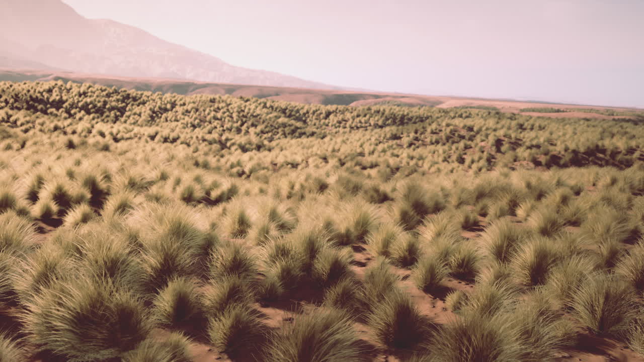 배경 에 산 이 있는 아름다운 풀