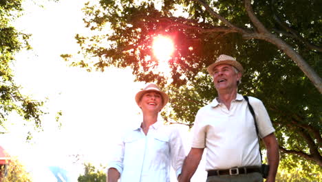 Senior-couple-walking-and-holding-hands-on-sunny-day