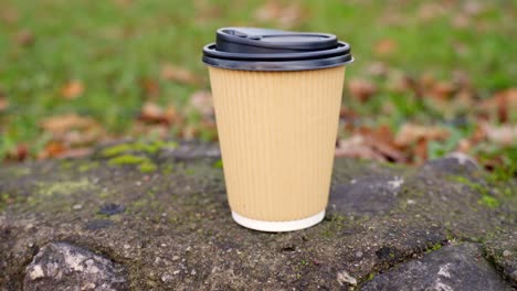 close up of a cup of cardboard coffee resting on a rock in a city park