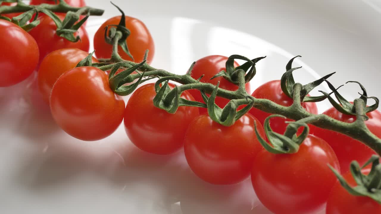 나가지에 새로 자란 은 토마토를 따라 움직입니다.