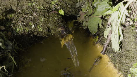 Spout-of-water-empties-into-reddish-brown-iron-rich-oxidizing-pool-swirling-in-forest