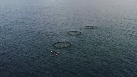 aerial pan shot above and around sea fish farm, the offshore aquaculture and underwater cage at lambai island, xiaoliuqiu, pingtung county taiwan, asia