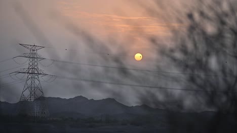 a serene middle eastern wadi at sunset, framed by leafless branches