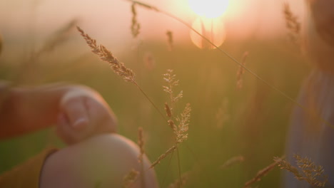 serene sunset scene featuring tall grasses with two children's hands gently touching the blades, evoking a peaceful, close-to-nature moment