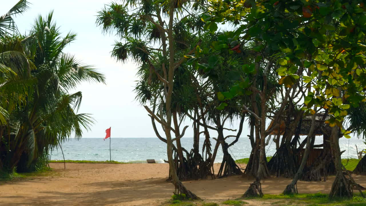 escena de playa tropical con bandera roja
