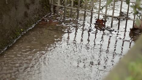 camino y puerta inundados de agua