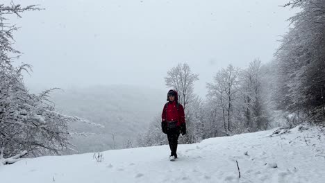 Eine-Frau-Wandert-Auf-Schnee,-Starker-Schneefall-In-Der-Waldlandschaft,-Wundervoller-Winterschnee-Im-Hochland-Von-Rasht,-Ländliches-Dorf,-Leben-Der-Einheimischen,-Landwirtschaft,-Straße,-Malerische-Abenteueraktivität