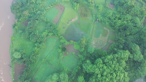 aerial view of a tropical agricultural landscape